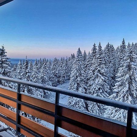 Hotel Petrovy Kameny Karlova Studánka Exteriör bild