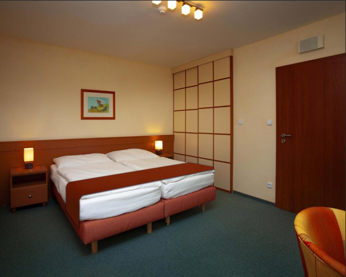 Hotel Petrovy Kameny Karlova Studánka Rum bild